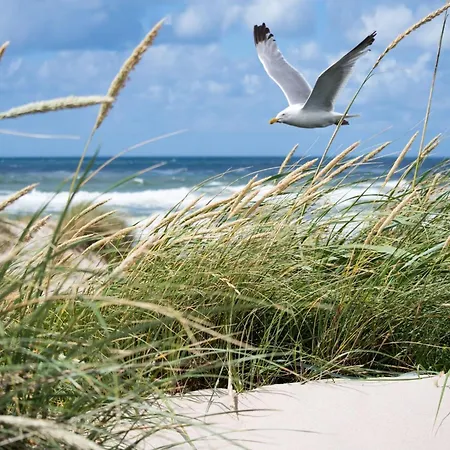 Sea View In The Heart Of Zoute Knokke-Heist